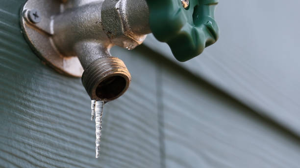Best Affordable Plumber Near Me  in Metropolis, IL