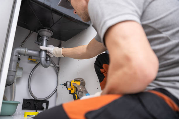 Best Local Plumber Services  in Metropolis, IL